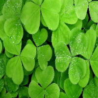 No Glue Synthesis Infrared Carbon Heater Film Self Regulation For Warm Floor