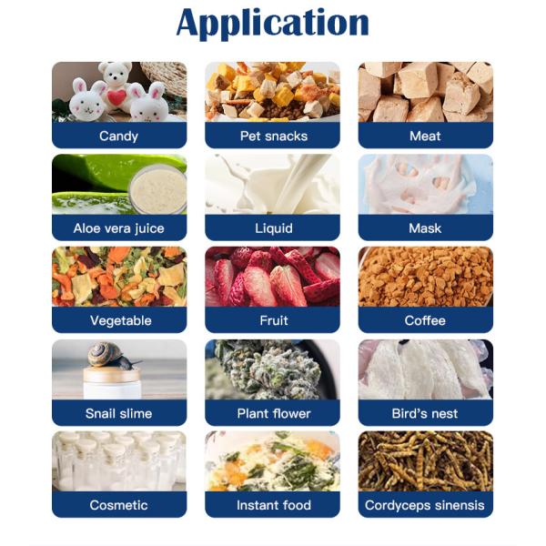 Commercial 50kg Vacuum Freeze Dryer Machine Food Lyophilizer Freeze Dryer Vacuum Dryer Machine