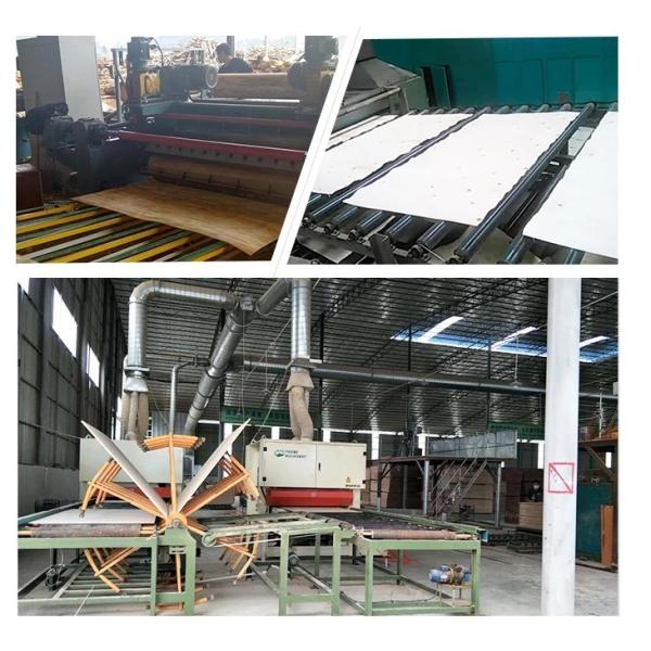 No Formaldehyde Hardwood Faced Plywood For All Types Of Adhesive Production