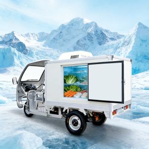 650W Refrigeration Capacity Electric Delivery Trike with 60V/58AH Battery and Solar Panel Charging