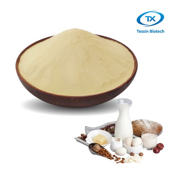 80 Mesh Yeast Extract Protein Powder For Functional Beverage Nutrition