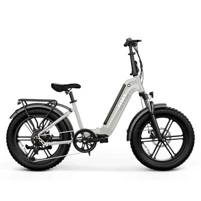 Hot Selling TST 250W Powerful Steel Frame Electric Hybrid Folding Bike for Teens Electric Bike Adults Bicicleta Foldable Ebike