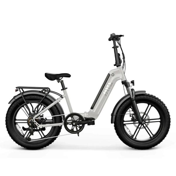 Hot Selling TST 250W Powerful Steel Frame Electric Hybrid Folding Bike for Teens Electric Bike Adults Bicicleta Foldable Ebike