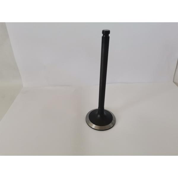 Steel Material 98468338 Diesel Engine Valve / Inlet Valve For FIAT IVECO
