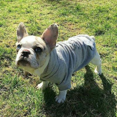 cheap fleece dog hoodie pet apparel factory wholesale in cheap price