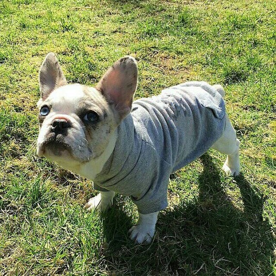 cheap fleece dog hoodie pet apparel factory wholesale in cheap price
