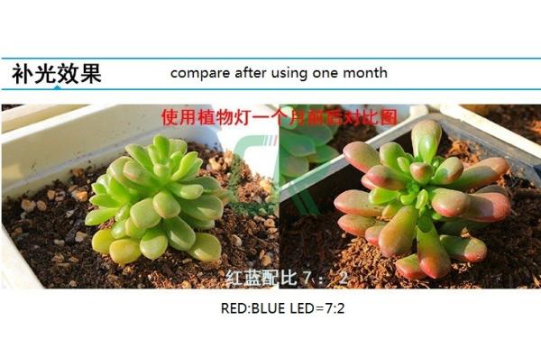 Full spectrum 18w T8 led grow light for plant growth , flower and vegetable