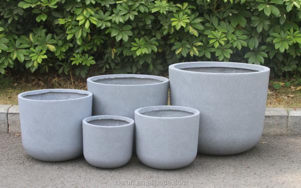 Wholesale Real Plant Display With Fiber Clay Planters Decoration