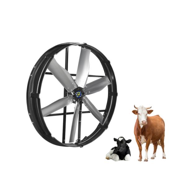 66,000m³/h Max Airflow Livestock Ventilation Fan with Outer Rotor PMSM/BLDC Motor for Energy Saving And High Efficiency