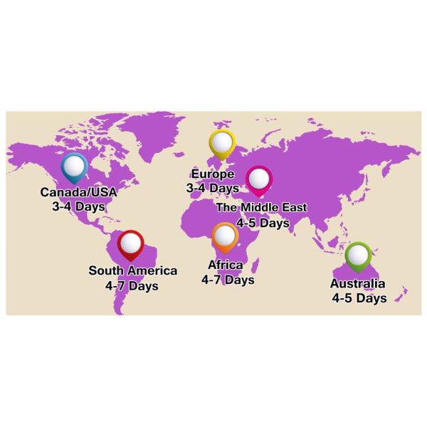 Natural Black Top Closure Straight Hair Ear to Ear Lace Frontal Human Hair Material