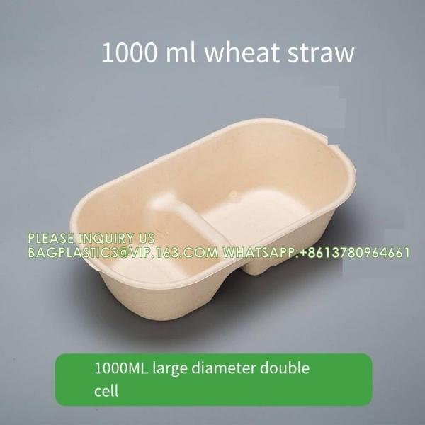 Wholesale Sugarcane Bagasse Pulp Lunch Box Takeaway Food Container Diaposiable Recyclable Sugarcane Packaging Box