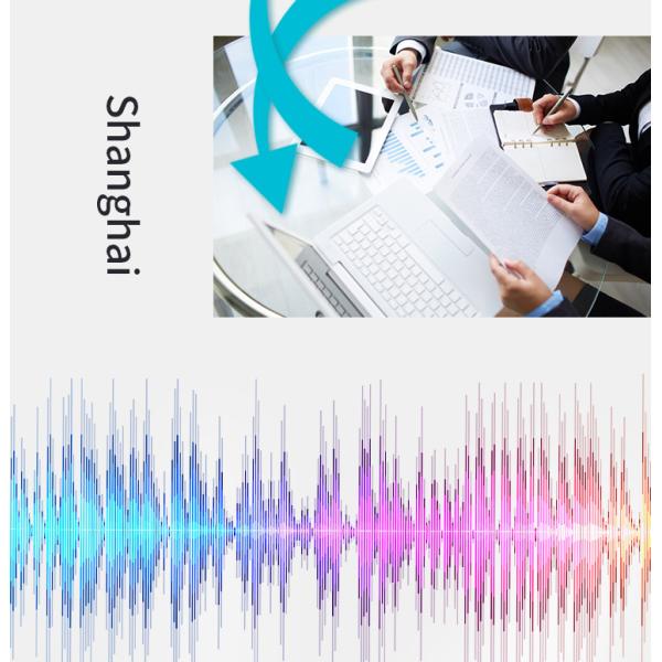 Professional Conference Microphone SQ-M13B 2.4G Wireless Omnidirectional Microphone, 360 Degree Pickup, High Definition Audio, and Noise Reduction