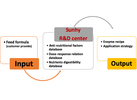 Customized Formula Slight Yellow Blend NSP Enzymes For Digestive