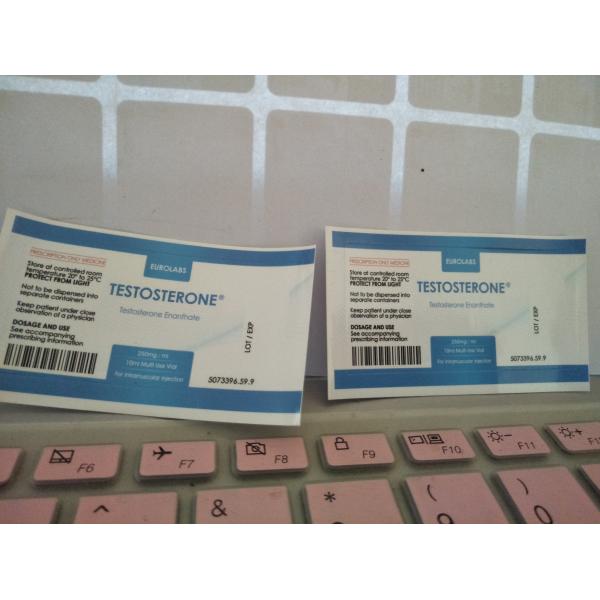 Hologram Laser Effect Testos E 250 Injection Steroide 10ml Vial Labels