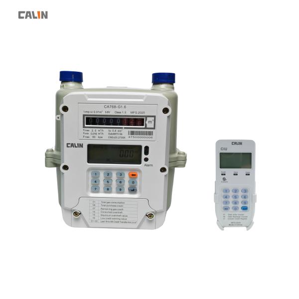 STS Prepaid Gas Meter