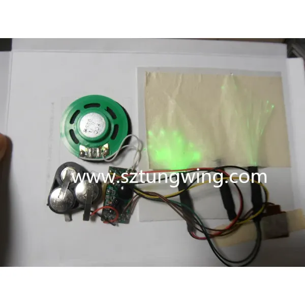 Recordable Greeting Card Module with 6-60 Seconds Recording, Clear Voice Quality, and Memory Retention for Custom Sound Cards