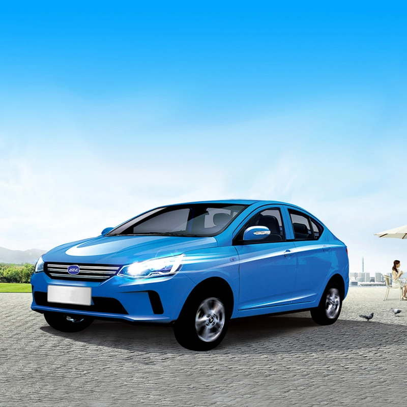 Raysince good quality mini electric vehicle wholesales cheap price electric mini vehicle for family car