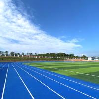 Pista de desporto vermelha e azul de borracha de entrelaçamento Pista de corrida