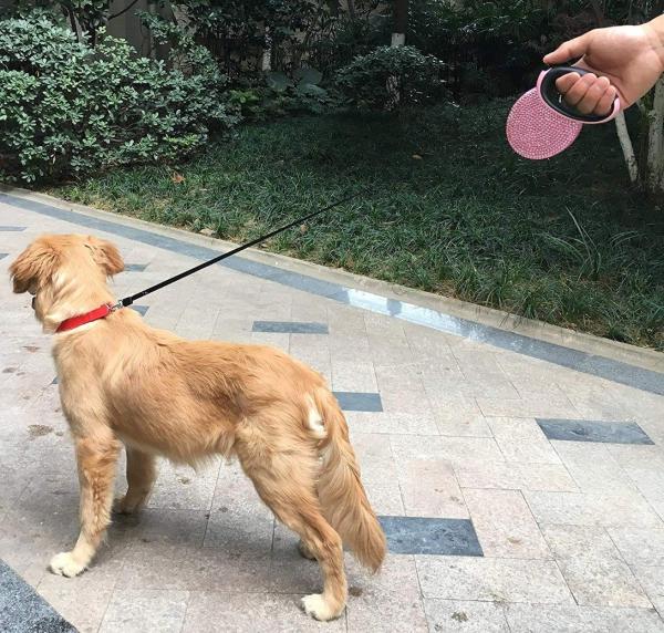 10 FT Retractable Dog Leash , Bling Smooth Retracting Extendable Dog Lead For All Breed