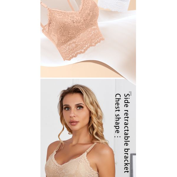 Women Lace Bra High Quality Lace Undergarments S-XL Sizes Available Multi-Colors Women Underpants Wholesale Sourcing Bra