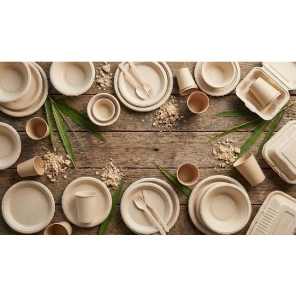 Mudanjiang Shuntong Environmental Protection Technology Co., Ltd.