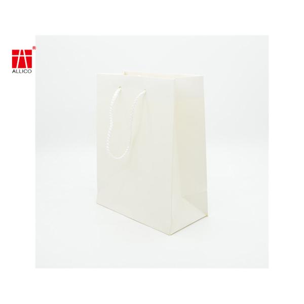 Бумажные мешки изготовленных на заказ одежд сумки подарка логотипа лоснистых розничные ходя по магазинам с ручками веревочки