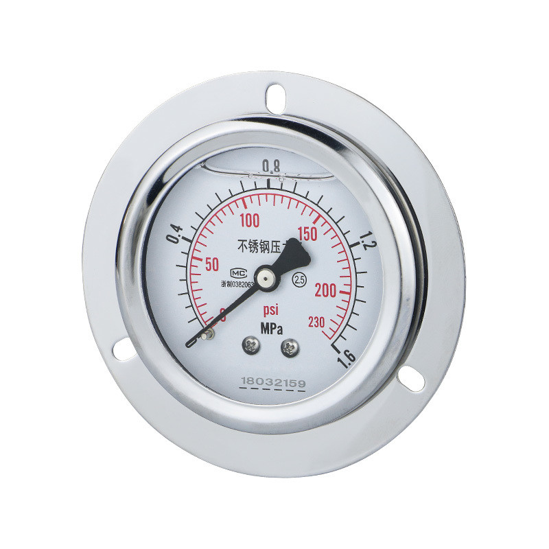 60mm Back Connection Pressure Gauge with Flange 250bar 304ss Liquid-Filled Manometer