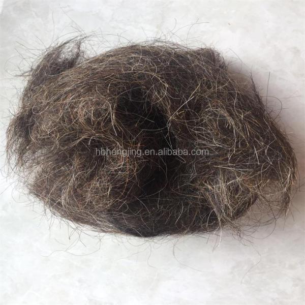 Washed Good Quality Clean Curled Horse Hair Waste for Mattress