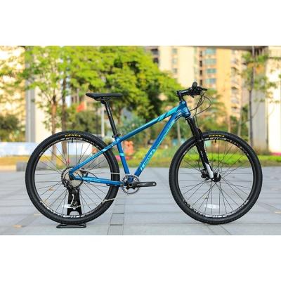 High Configuration 30 Speed 29 Inch Carbon Fiber Mountain Bike with SMN M6000-30Speed