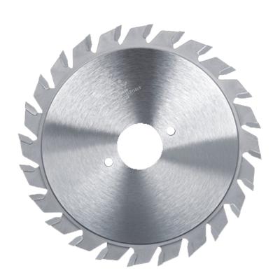 Dmo5 M42 HSS Saw Blade HSS Cutting Wheel  200 To 500mm Dia