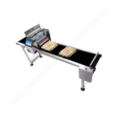 Automatic Electric Egg Processing Machine Coding Carton Printing 60kg 100w
