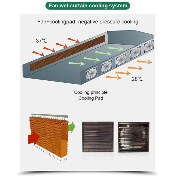 Многопролетная пленка Китайские теплицы Сельскохозяйственная гидропонная система и система охлаждения
