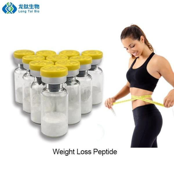 Weight Loss Peptides Purity 99% Wholesales Price 2mg 5mg 10mg Semaglutide CAS: 910463-68-2