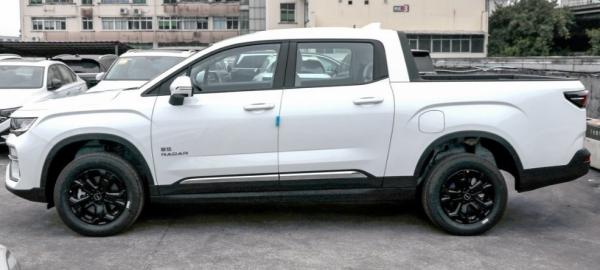 NOVO Modelo 2023 Pickup Elétrico Camião Pickup Elétrico de Alta Potência Carros Elétricos RADAR RD6