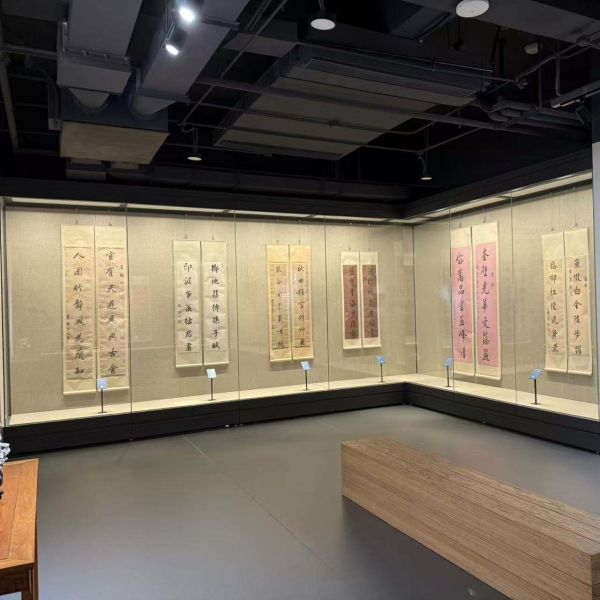 Spacious Huge Wall Showcase with Motor-driven Regulated Proud Or Inset for Museums