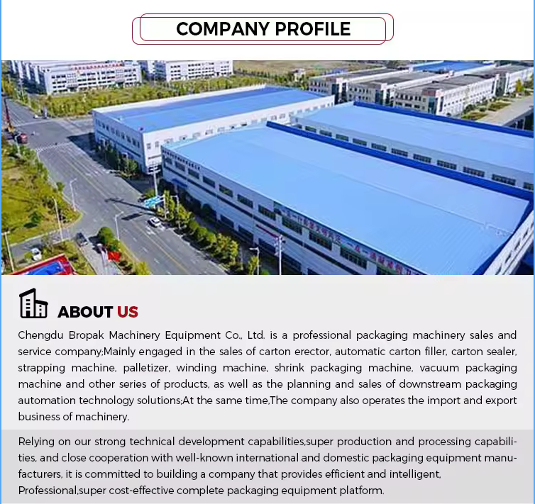 HIPAC PCS300P Plastic Shell Hand Sealing Machine Aluminum Foil Food Packaging Bag Hot Sealing Machine