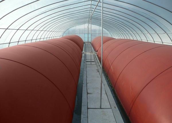 Customized Bio Digester Tank Improve The Environment Household Anaerobic Manure Digester