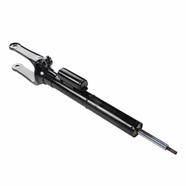 Germany Auto Parts Air Suspension System 2513200730 Air Suspension Strut