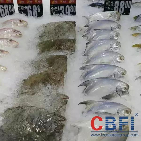 2Mm Thickness Saltwater Flake Ice Machine For Fishery Protection