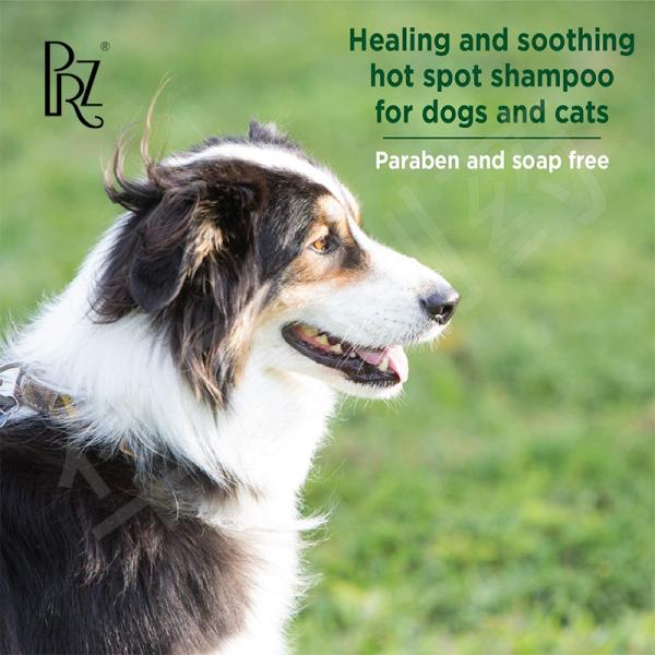 220ML Natural Care Flea And Tick Dog Shampoo Natural Oil