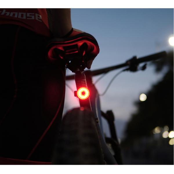 ROHS Bike And Cycle Accessories Tail Light USB Charging Seatpost Mounting