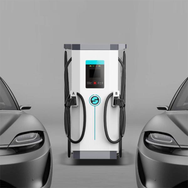 60KW 2 Electric Vehicle Power Charger For Shopping Mall Market