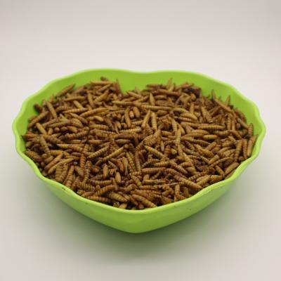 Yellow Dried Black Soldier Fly 3-5cm High Protein GMP+ FDA