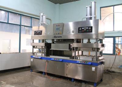 Eco - linha de produção moldada amigável da bandeja do prato da caixa do alimento da máquina de factura de placa do papel da polpa