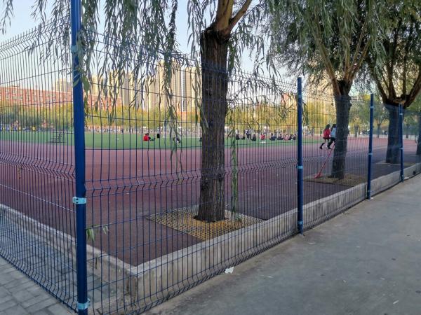 China Manufacturer Wholesale 3D V Bending Curved Garden Farm Fence For Perimeter