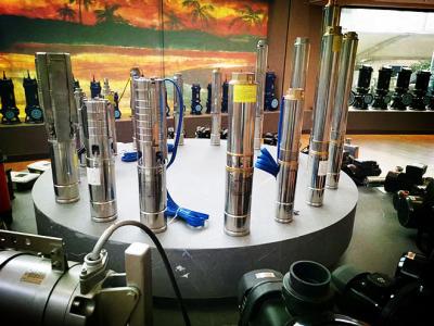 48V/72V Solar Submersible Water Pump for Sustainable Water Supply