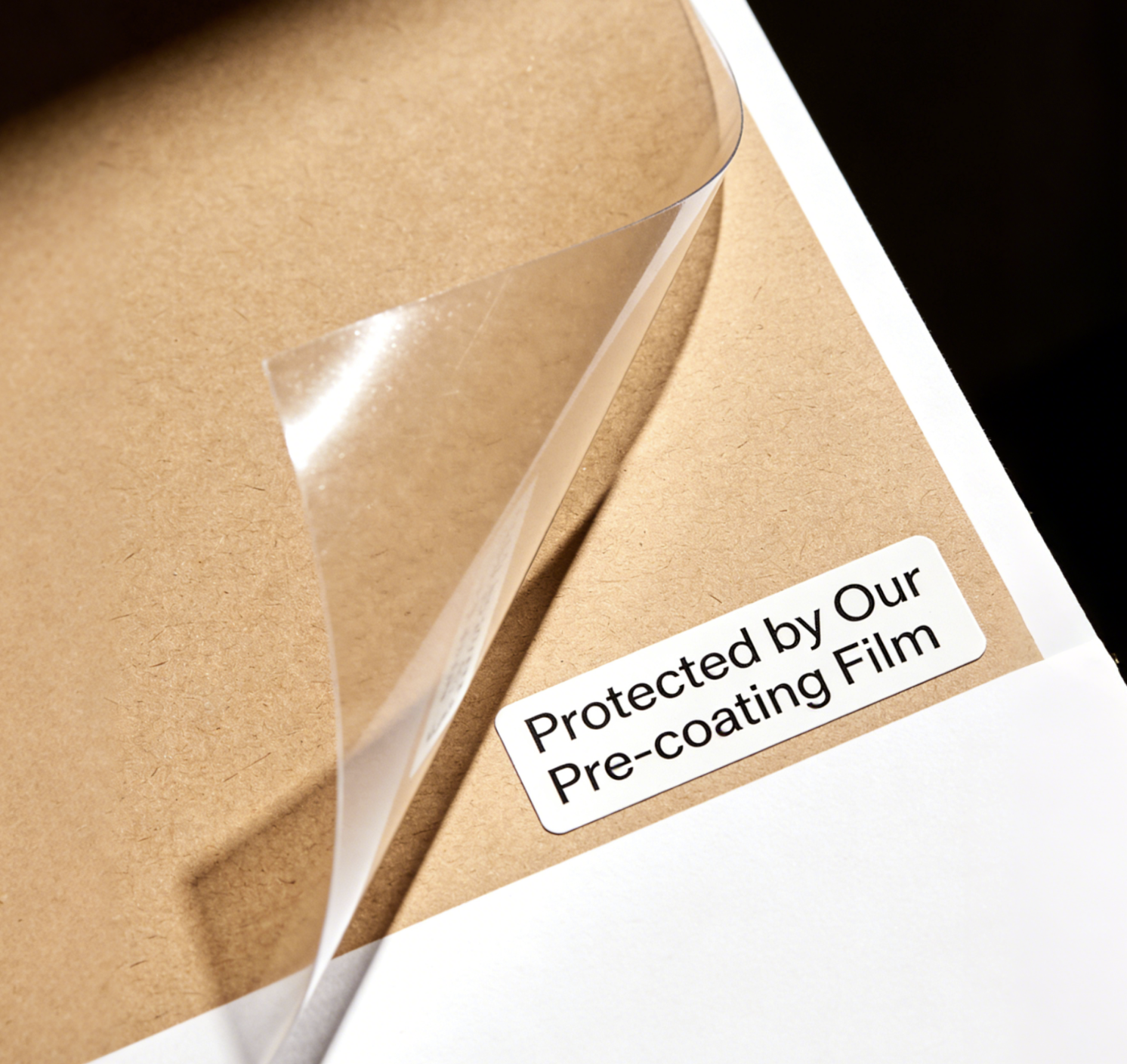 Food Grade Glossy Finish Biodegradable Laminating Film Roll with Thermal Adhesive for Professional Use