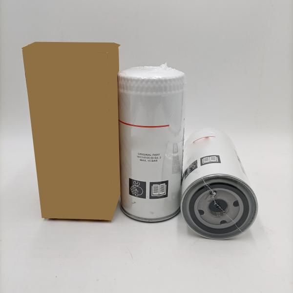 Diesel Fuel Filter 1000364299 for Other Year Cars within Your Budget