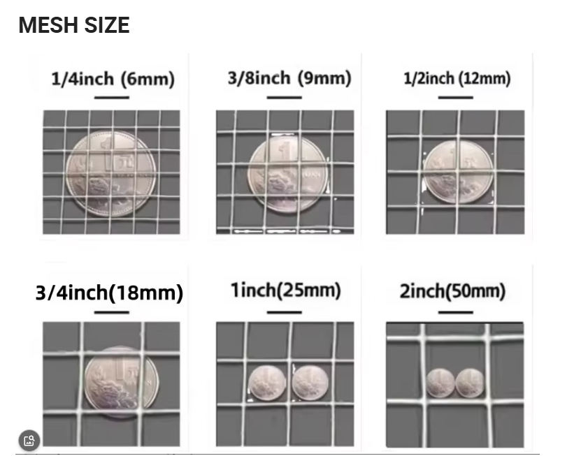 Corrosion Proof Stainless Steel Welded Wire Mesh Panels with 75 × 50mm Mesh Size for Coastal Fencing
