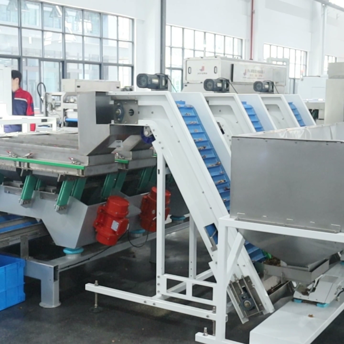 Smart walnut kernel sorting machine with real-time automatic cleaning and sealed camera housings, maintaining accuracy in dusty environments at 280–360 kg/h